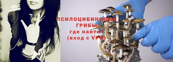 мет Богородицк