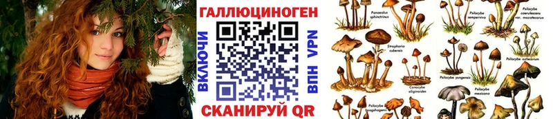 Галлюциногенные грибы Psilocybe  Богородицк 